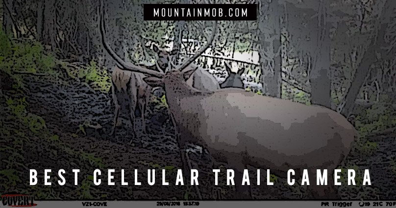 best cellular trail camera that sends photos to your phone